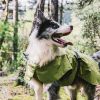 Dog Coats Small Waterproof,Warm Outfit Clothes Dog Jackets Small,Adjustable Drawstring Warm And Cozy Dog Sport Vest-(Green size M)